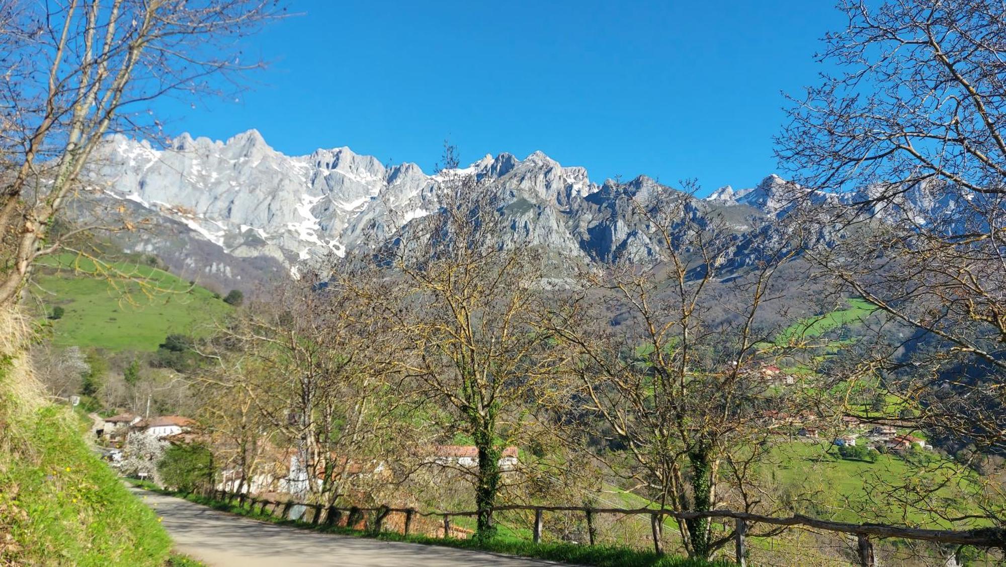 Apartamentos Rurales Los Picos De Redo Camaleño Zewnętrze zdjęcie